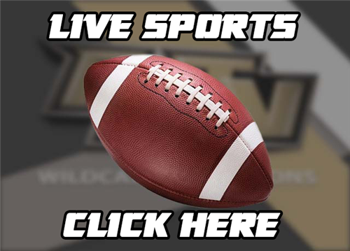 Livestream Link 
