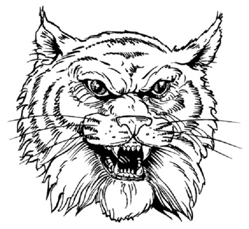 Wildcat logo 