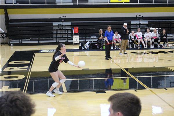 Volleyball 2022